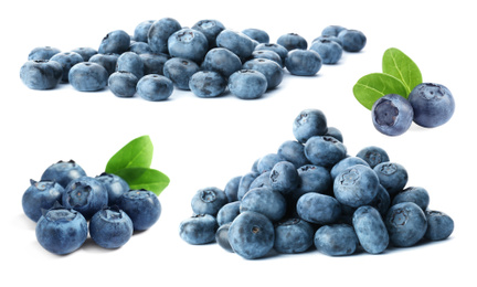 Set of fresh blueberries on white background