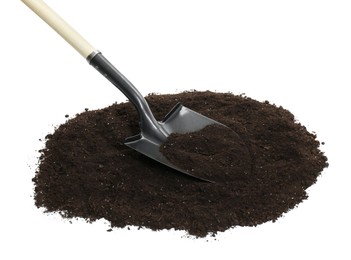 Photo of Shovel and pile of soil isolated on white