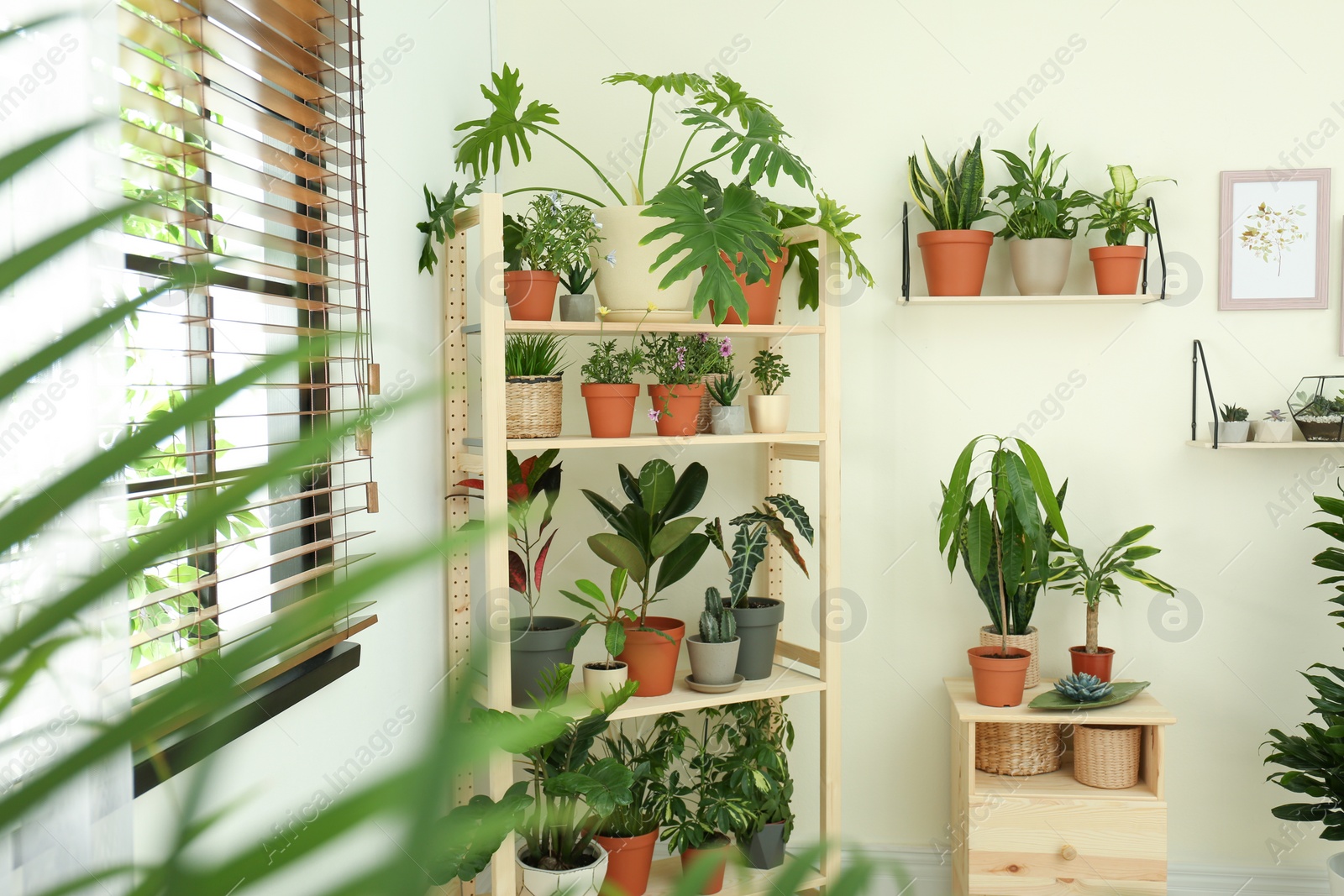 Photo of Stylish room interior with different home plants