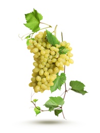 Fresh ripe grape cluster with green leaves falling on white background