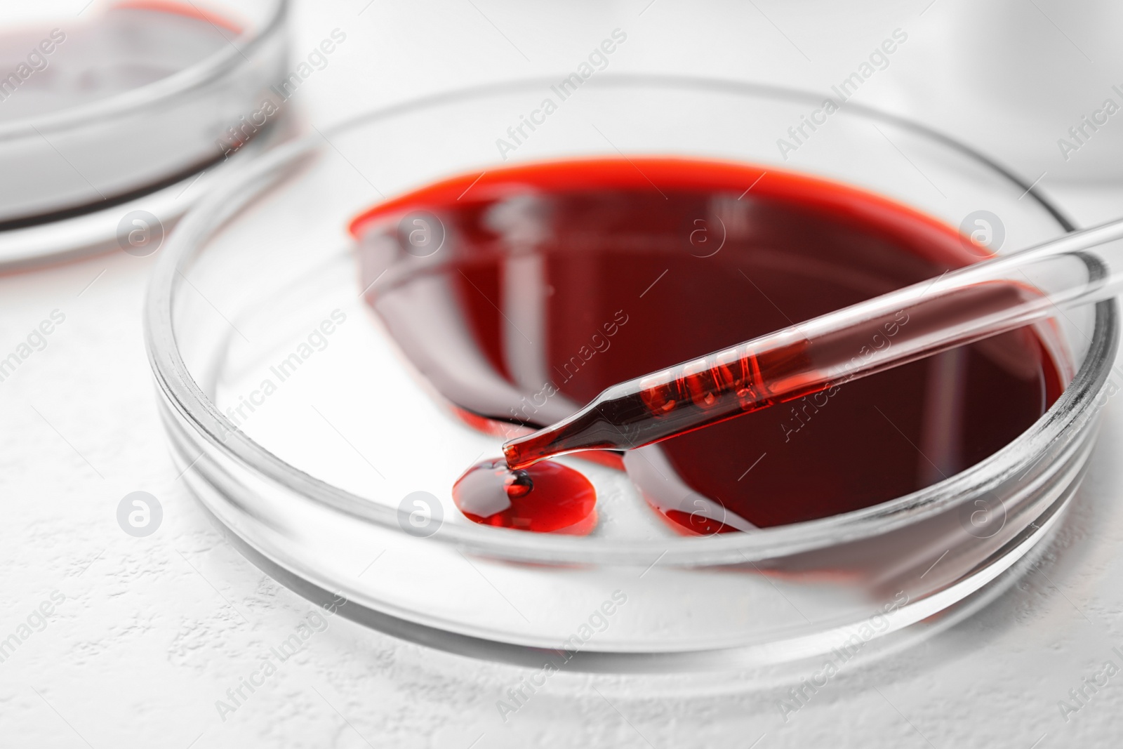 Image of Dripping blood from pipette into Petri dish on table, closeup. Laboratory analysis