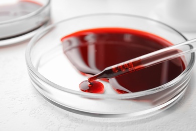 Dripping blood from pipette into Petri dish on table, closeup. Laboratory analysis