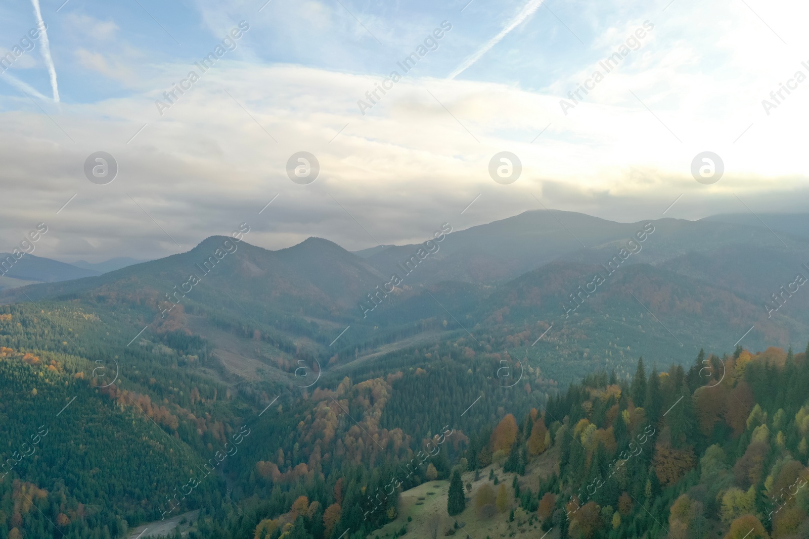 Photo of Aerial view of beautiful mountain landscape with forest on sunny day