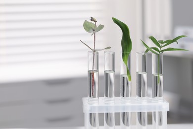 Photo of Test tubes with different plants in laboratory, closeup. Space for text
