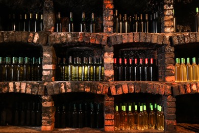 Many bottles of different alcohol drinks on shelves in cellar