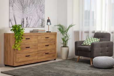 Wooden chest of drawers in modern living room interior