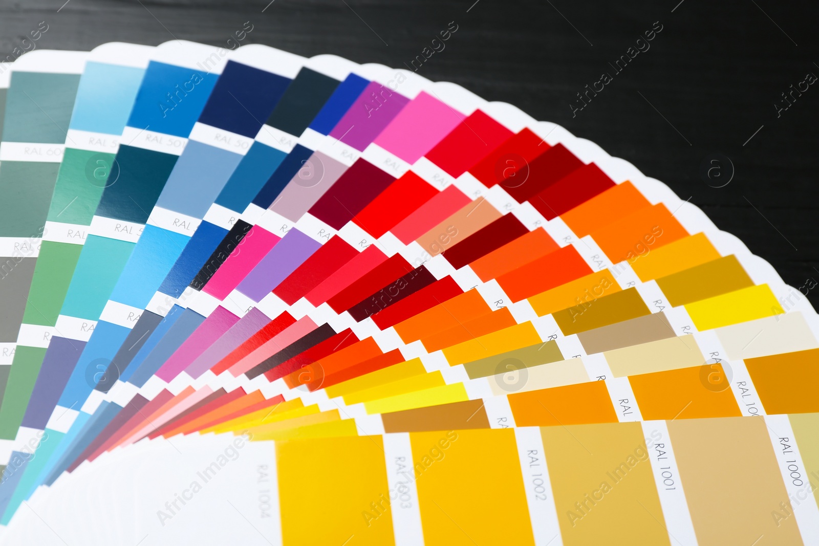 Photo of Color palette samples on black background, closeup