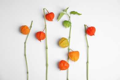 Physalis branches with colorful sepals on white background, flat lay