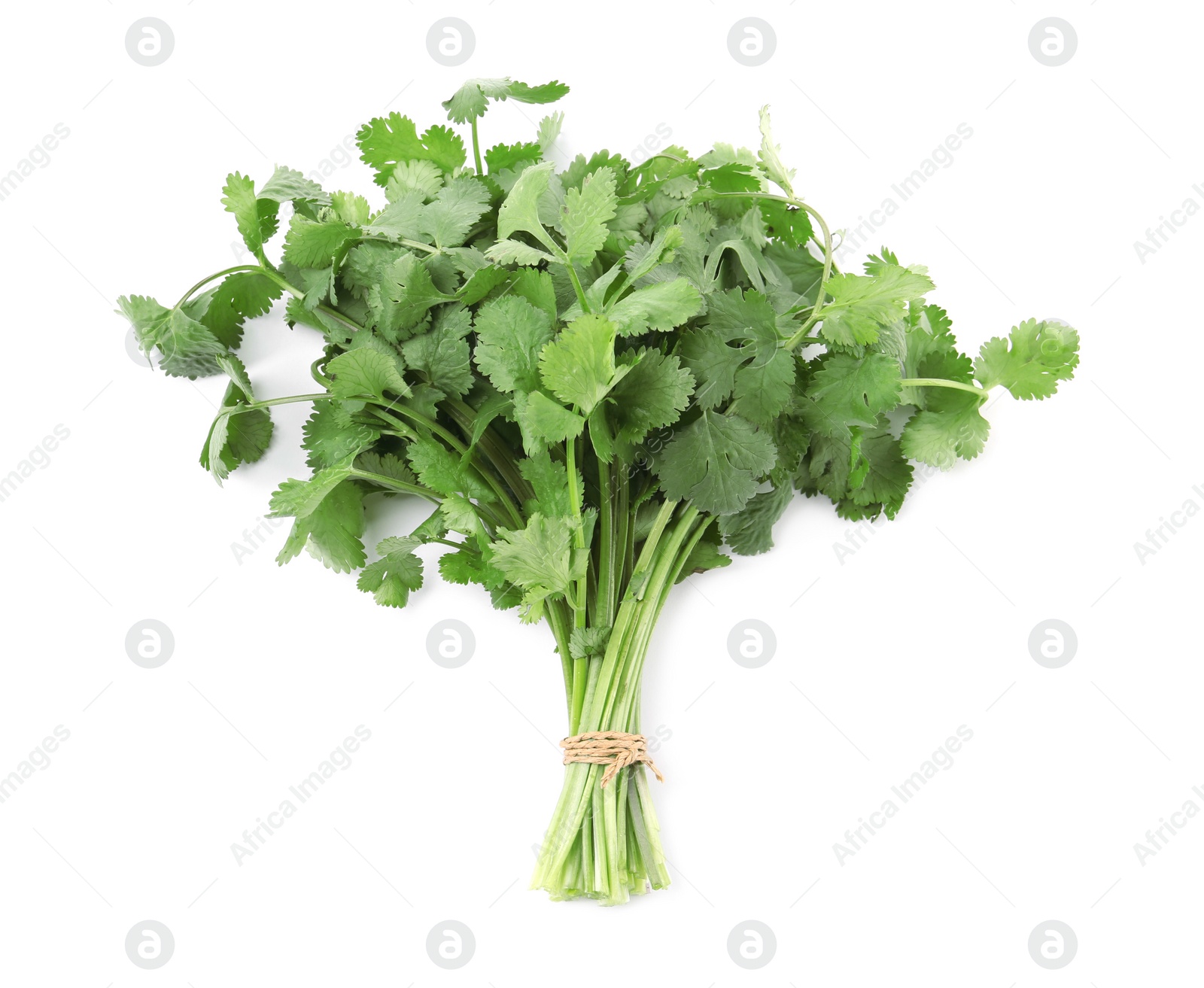 Photo of Bunch of fresh green organic cilantro isolated on white, top view