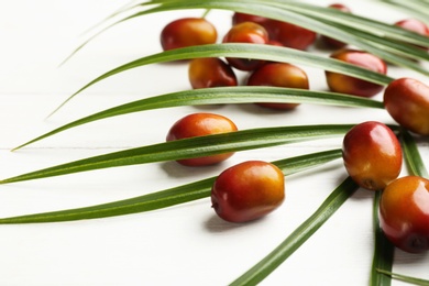 Photo of Palm oil fruits on white wooden table, closeup