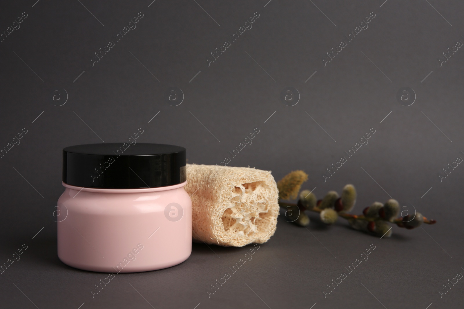 Photo of Jar with cosmetic product, loofah sponge and willow branch on dark grey background