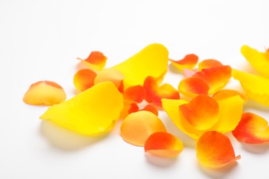 Pile of beautiful petals on white background