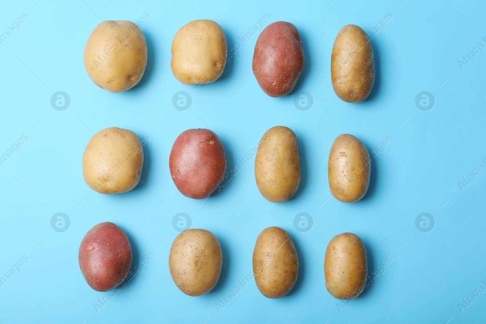 Photo of Flat lay composition with fresh organic potatoes on color background