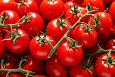 Photo of Fresh organic cherry tomatoes as background, closeup