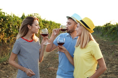 Photo of Young friends tasting wine on vineyard picnic