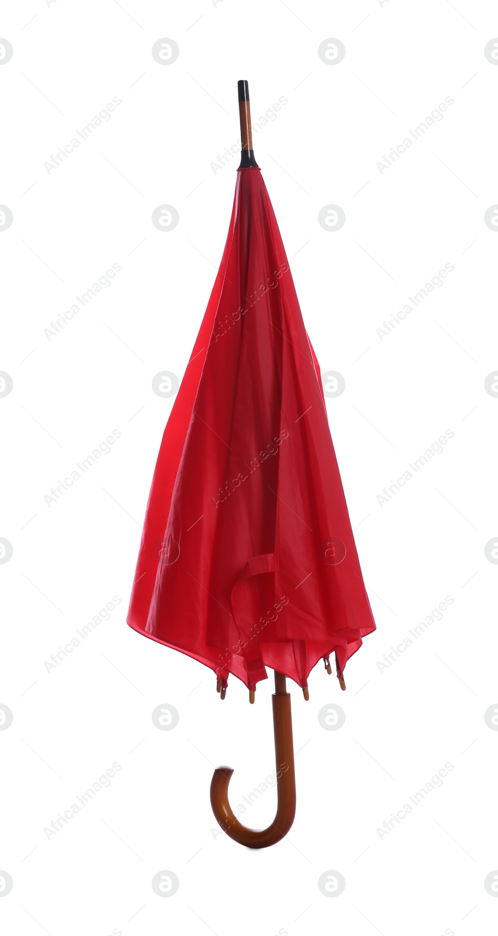 Photo of One closed red umbrella isolated on white