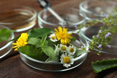 Photo of Petri dishes and plants on wooden table, closeup