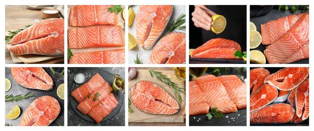Image of Collage with fresh raw salmon. Delicious fish