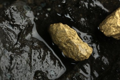 Photo of Shiny gold nuggets on wet stone, above view