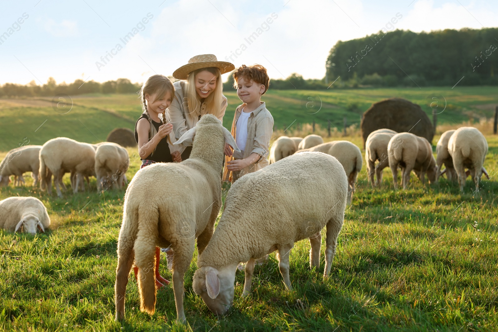 Photo of Mother and children stroking sheep on pasture. Farm animals