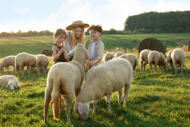 Mother and children stroking sheep on pasture. Farm animals