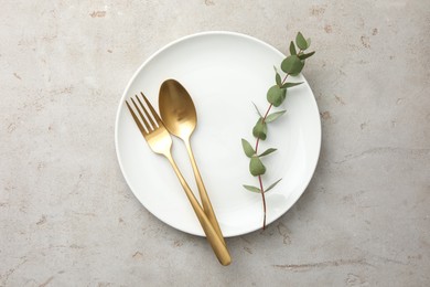 Stylish setting with cutlery, eucalyptus branch and plate on light grey table, top view