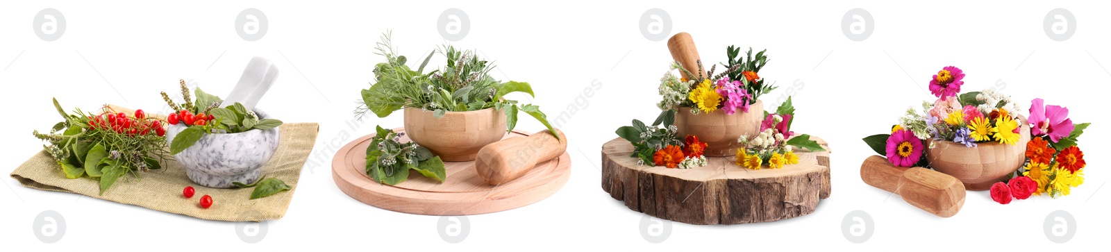 Image of Mortars with flowers and herbs on white background, collage design