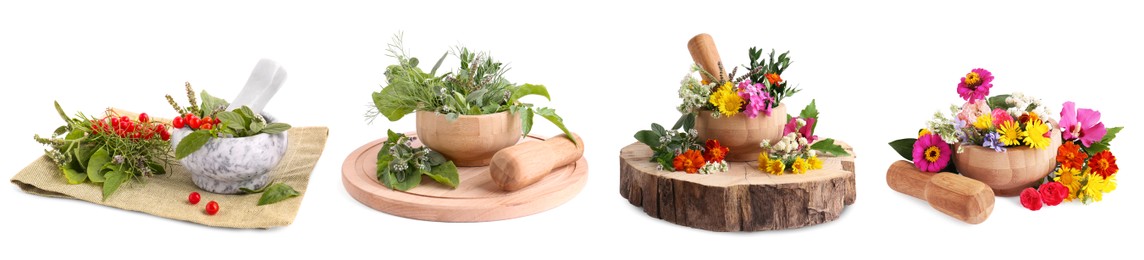 Mortars with flowers and herbs on white background, collage design