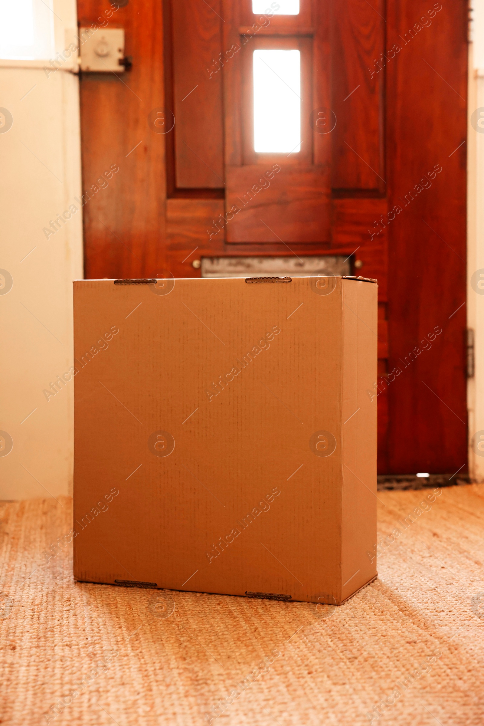 Photo of Delivery service. Cardboard on rug near wooden door indoors