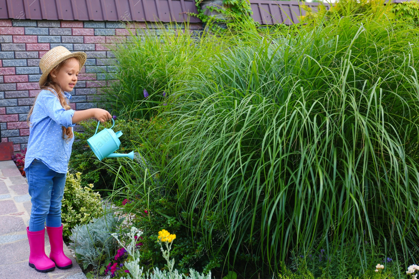 Photo of Little girl watering plant outdoors. Home gardening