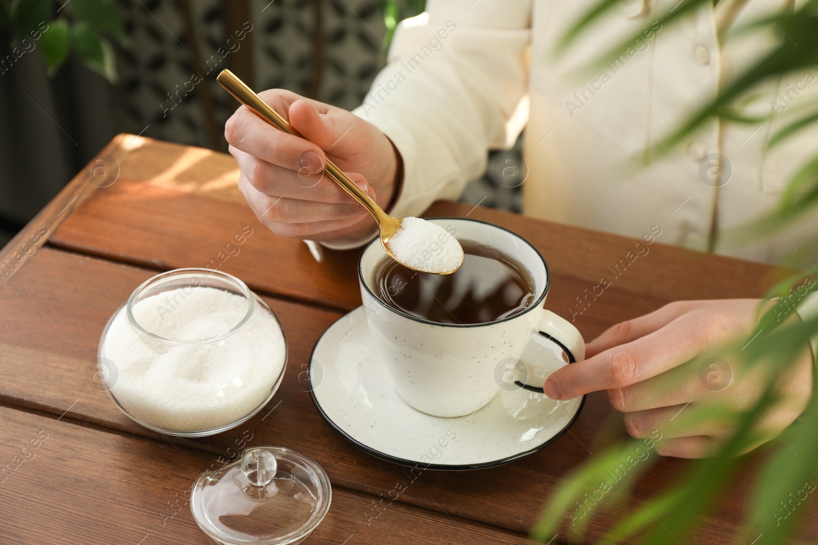 Photo of Woman adding sugar into aromatic tea at wooden table indoors, closeup