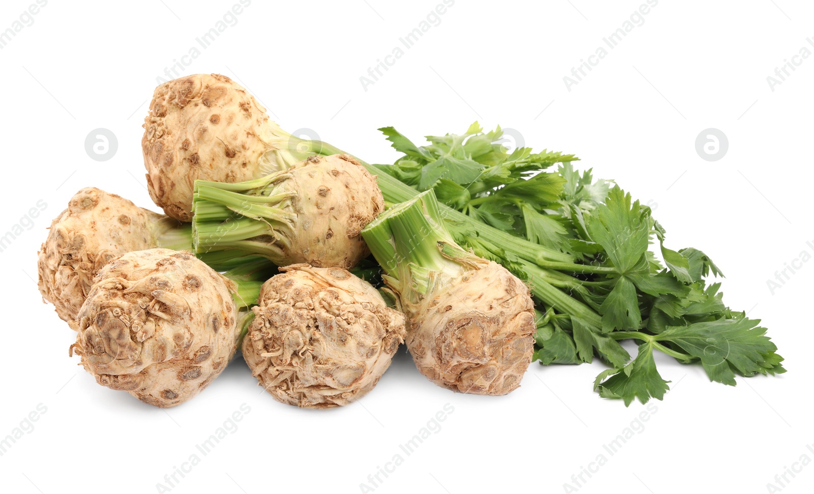 Photo of Fresh raw celery roots with stalks isolated on white
