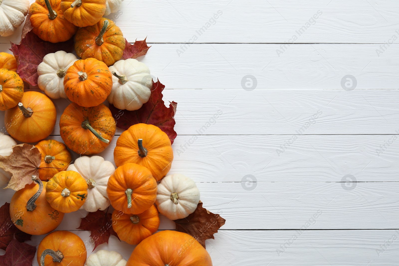 Photo of Happy Thanksgiving day. Flat lay composition with pumpkins on white wooden table, space for text