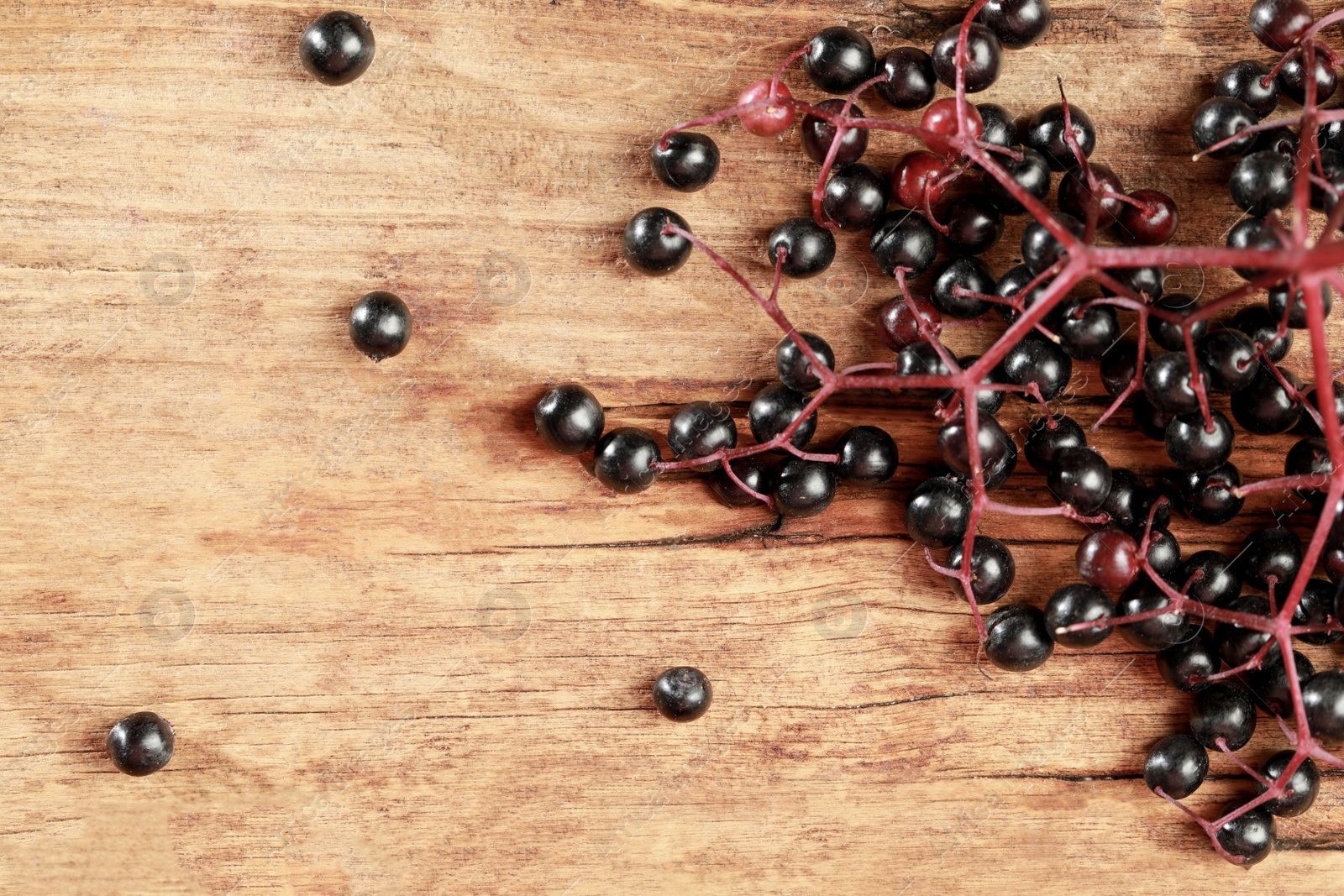 Photo of Black elderberries (Sambucus) on wooden table, flat lay. Space for text