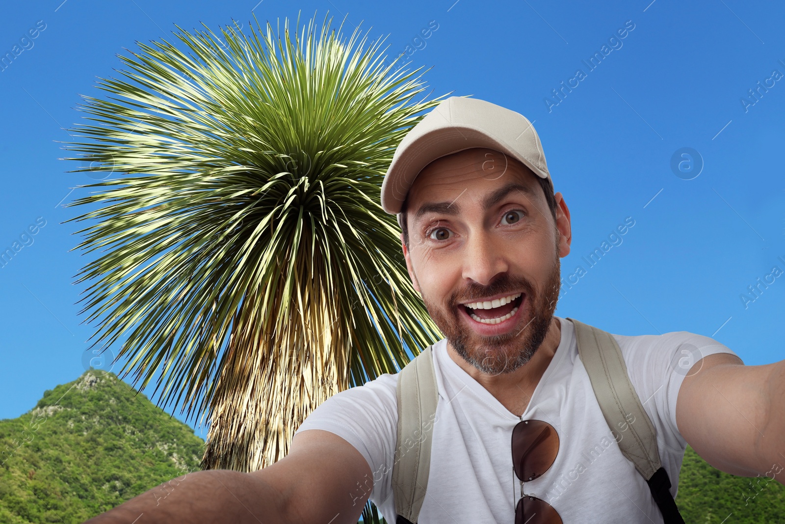 Image of Smiling man taking selfie near palm tree in mountains