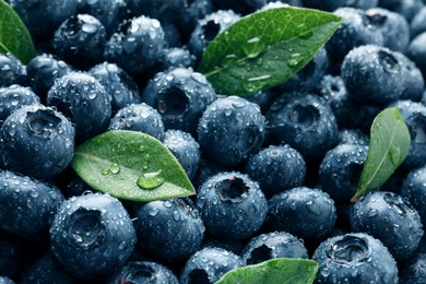 Wet fresh blueberries with green leaves as background, closeup