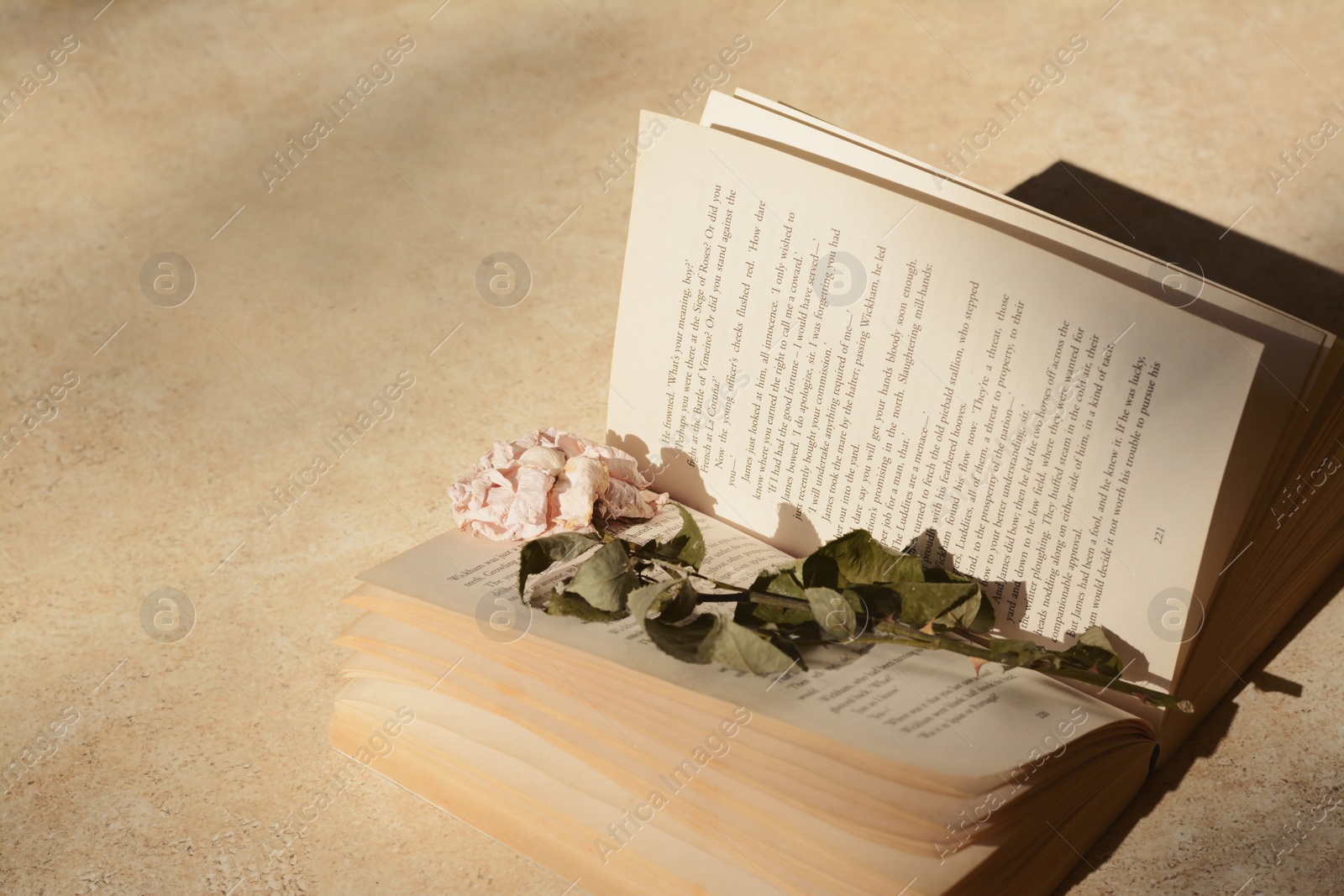 Photo of Book with beautiful dried flower on light table