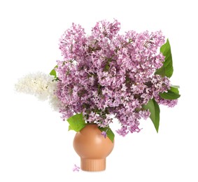 Photo of Beautiful lilac flowers in vase isolated on white