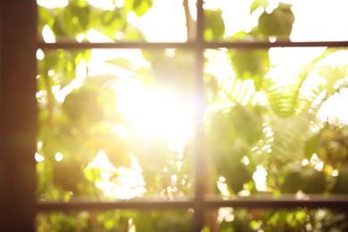 Blurred view through window on garden in morning