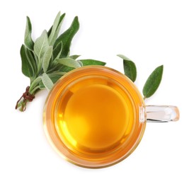 Cup of aromatic sage tea and fresh leaves on white background, top view