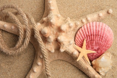 Photo of Beautiful starfishes, sea shells and rope on sand, closeup