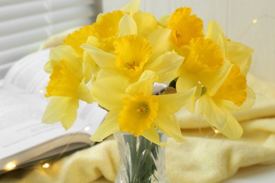 Beautiful yellow daffodils in vase indoors, closeup view