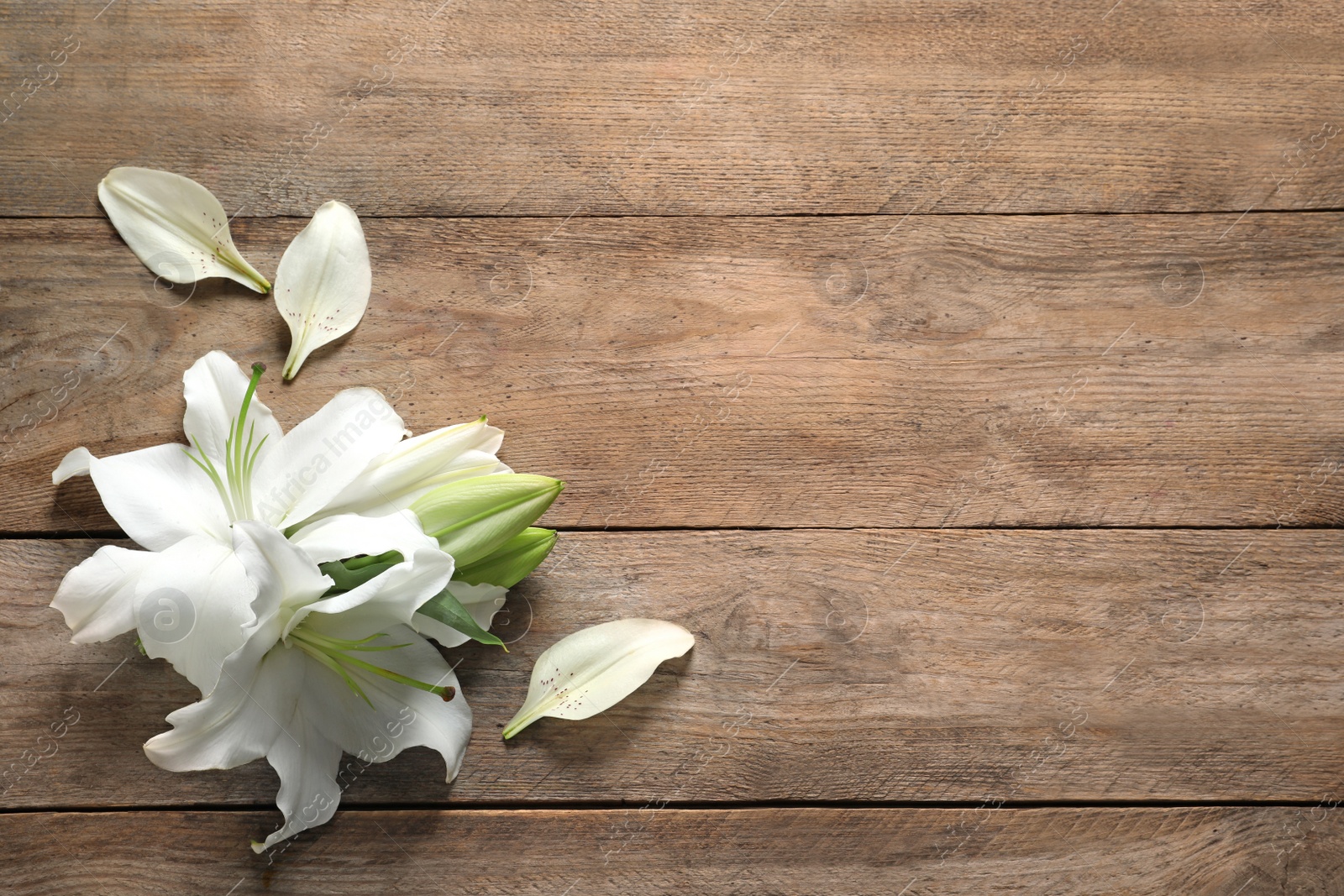 Image of Beautiful lily flowers on wooden background, top view. Space for text