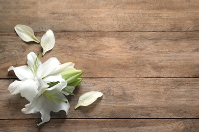 Beautiful lily flowers on wooden background, top view. Space for text