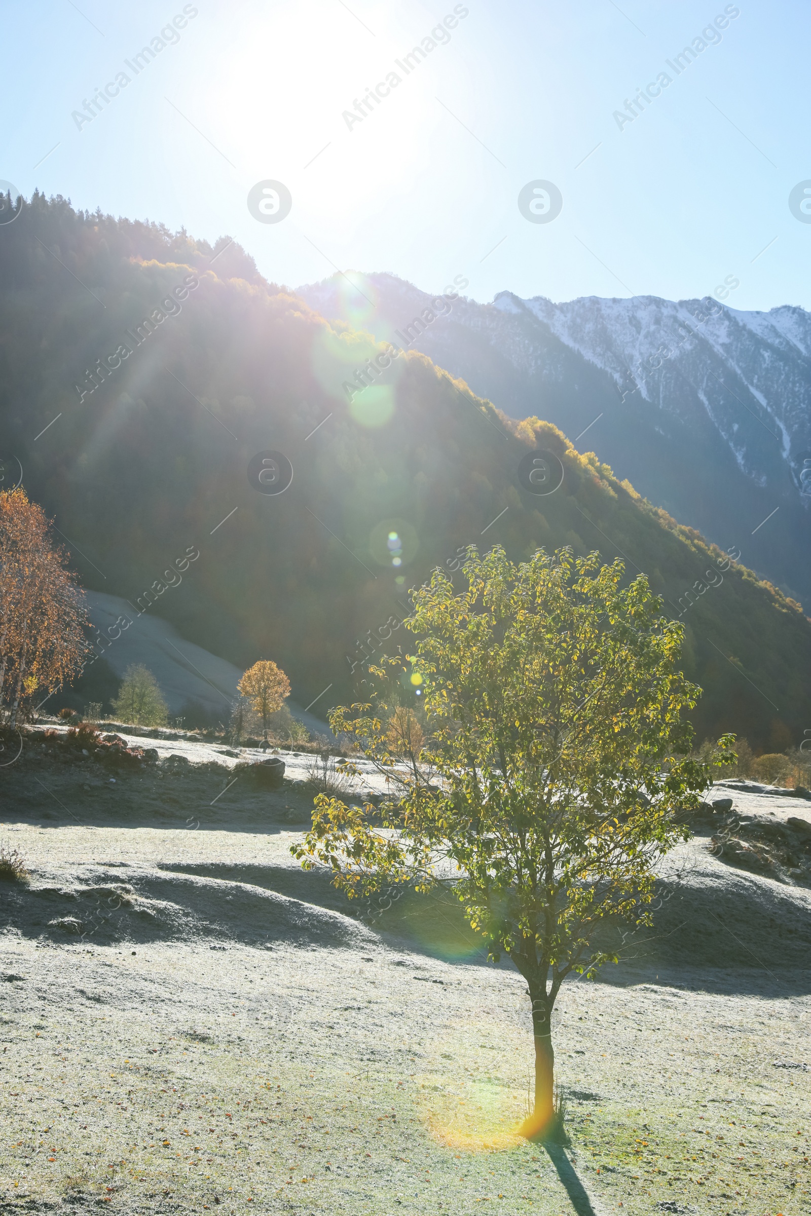 Photo of Picturesque view of beautiful high mountains under blue sky on sunny day