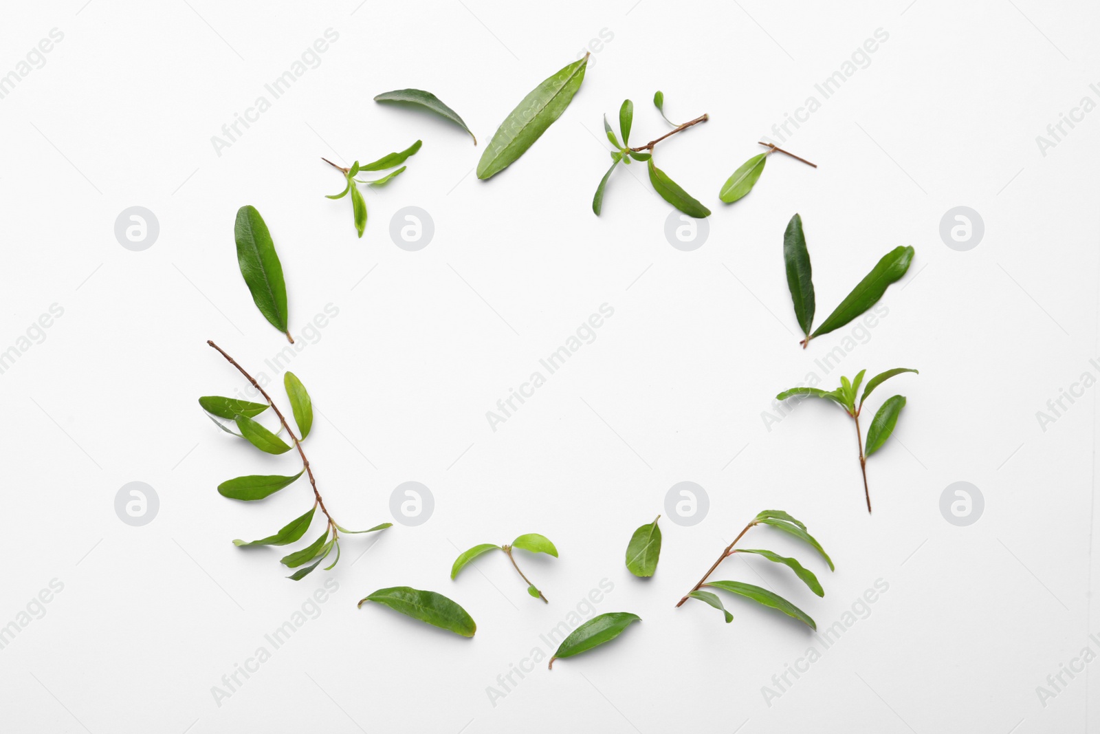 Photo of Frame of pomegranate leaves on white background, flat lay. Space for text