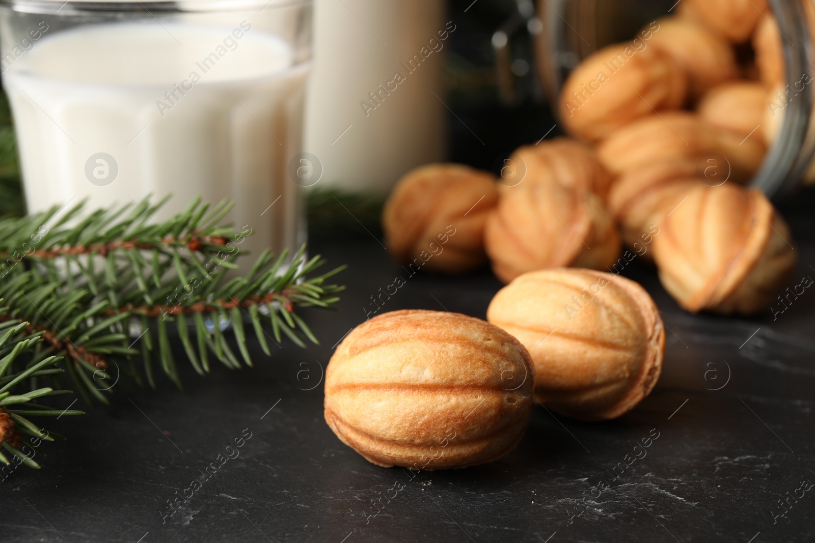 Photo of Homemade walnut shaped cookies, milk and fir branches on black table, closeup. Space for text