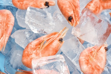 Photo of Raw shrimps and ice cubes as background, closeup