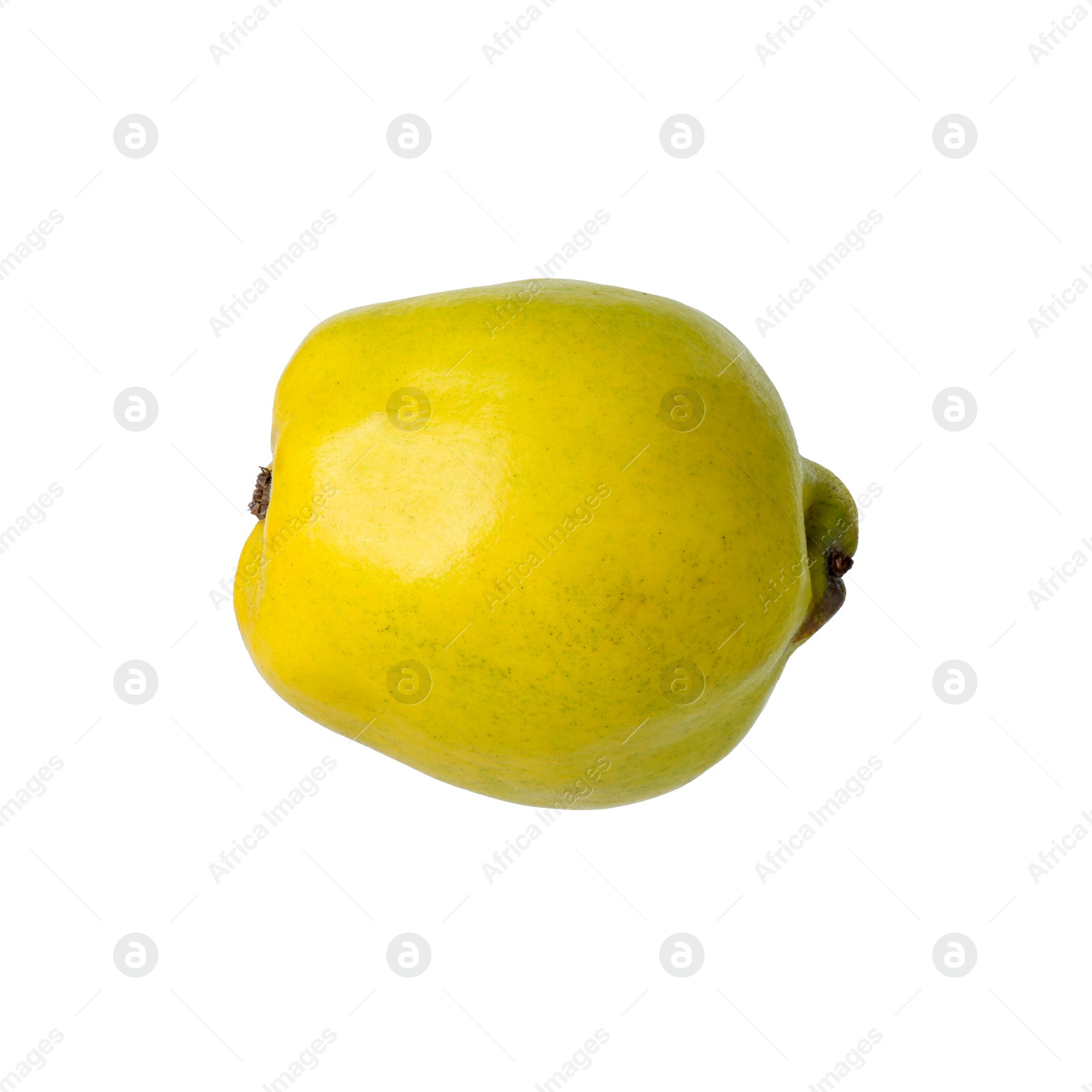 Photo of Delicious fresh ripe quince isolated on white