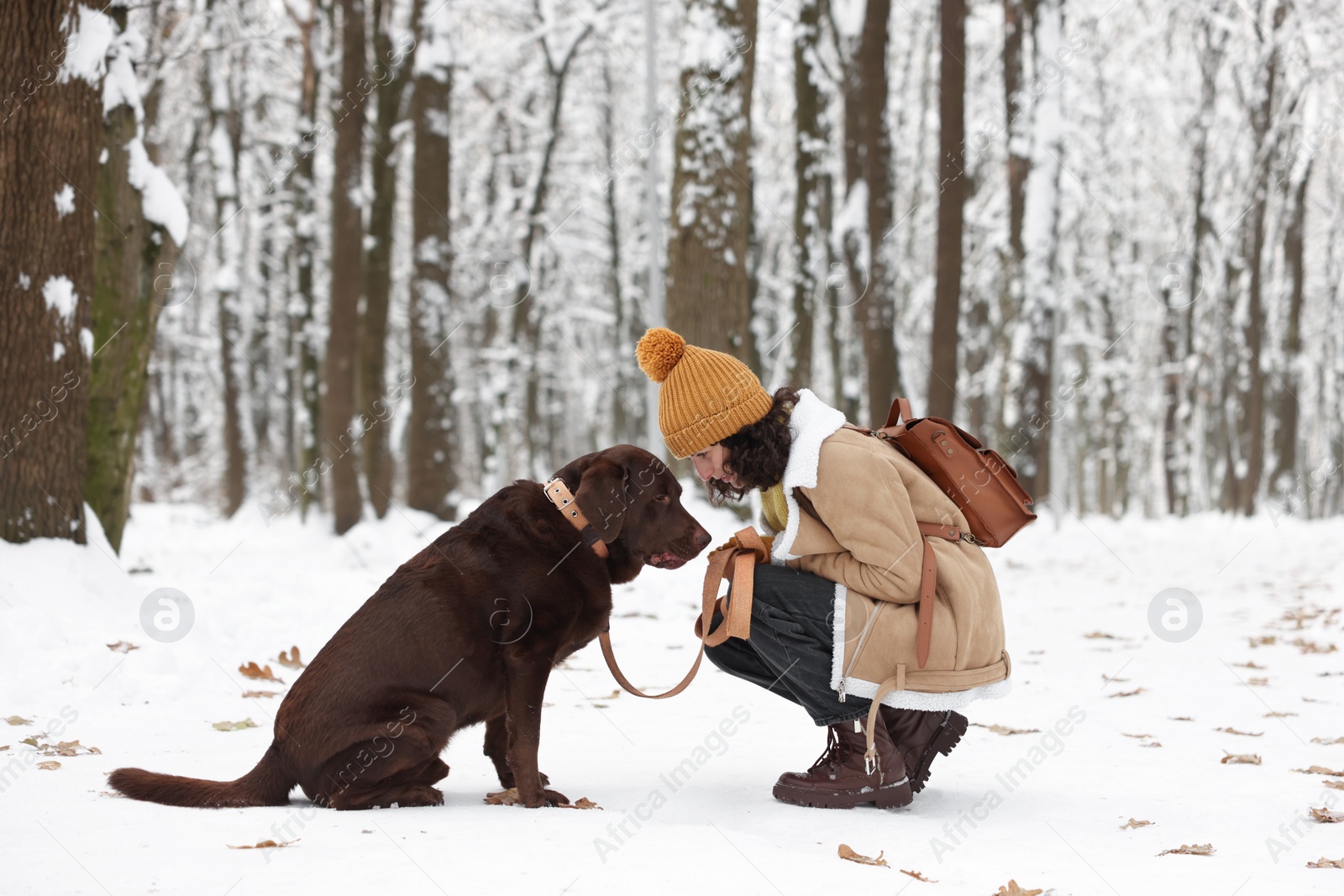 Photo of Woman with adorable Labrador Retriever dog in snowy park